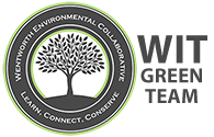 WIT Green Team Logo